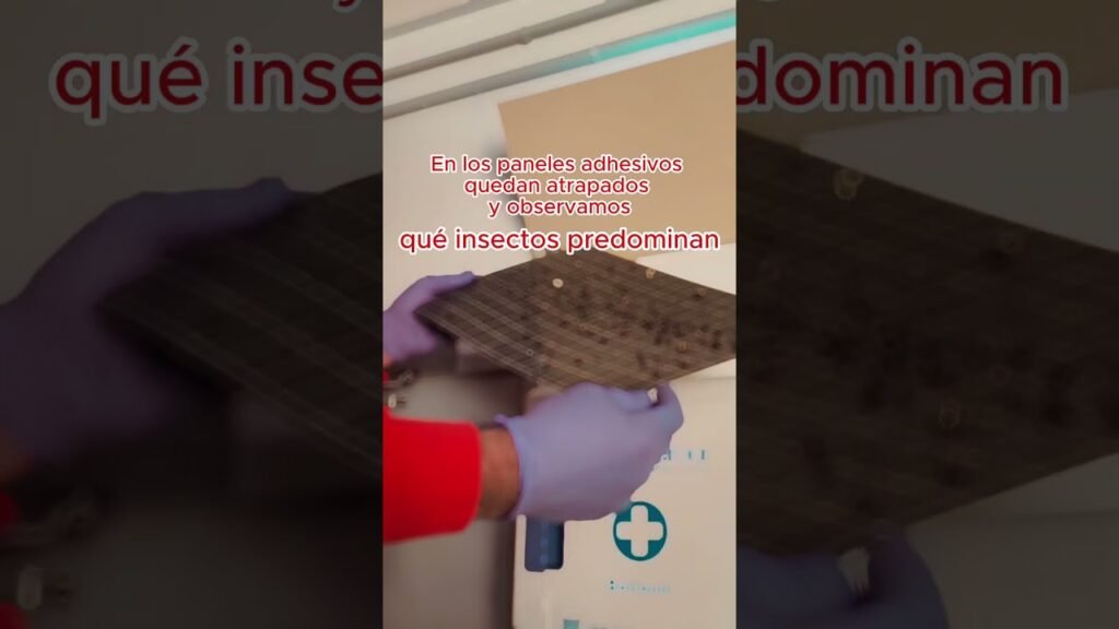 Cómo prevenir plagas en almacenes internos de oficina de manera efectiva