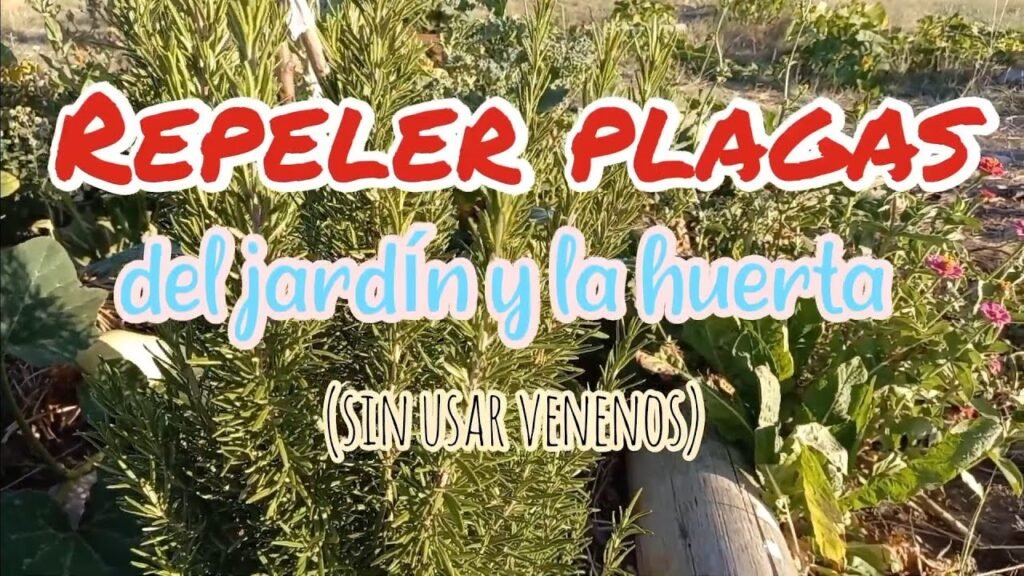 Cómo proteger oficinas de ventas contra plagas sin usar químicos fuertes