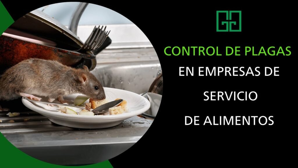 Importancia del control de plagas en áreas de cocina en oficinas