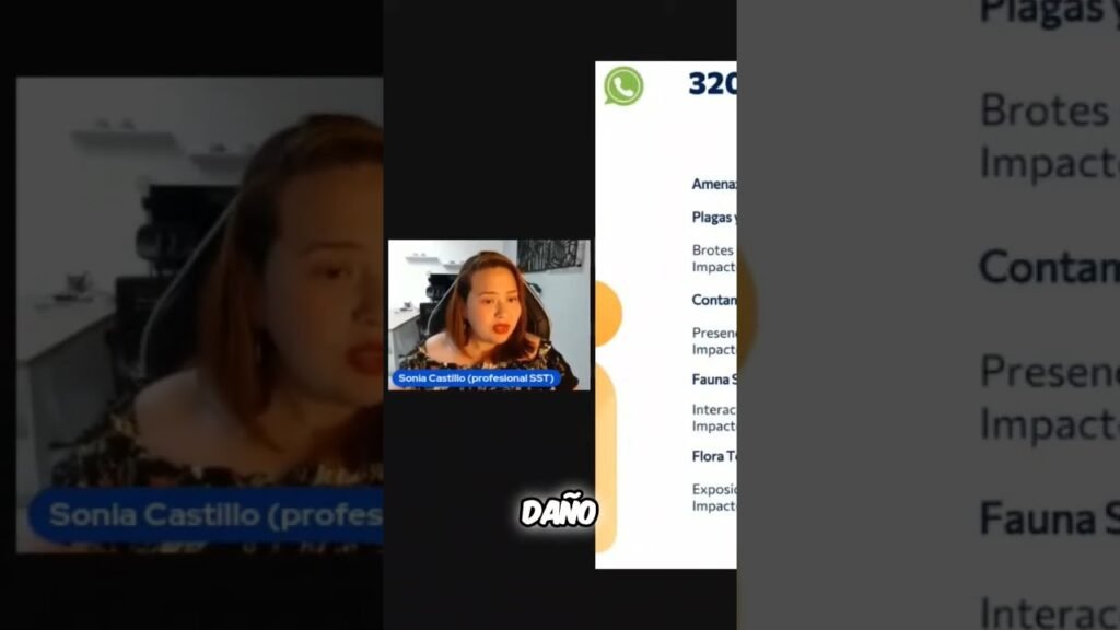 Importancia del control de plagas en zonas de carga y descarga en oficinas