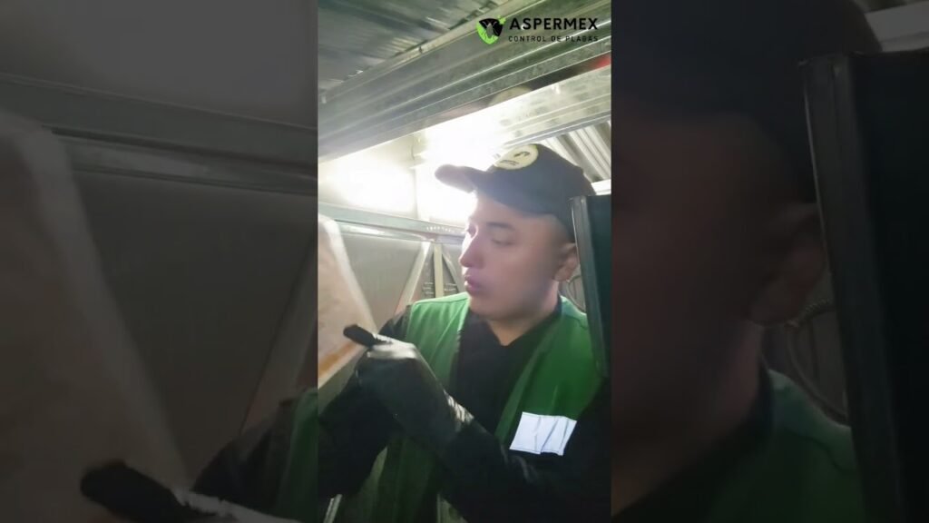 Checklist de prevención de plagas en estaciones de trabajo