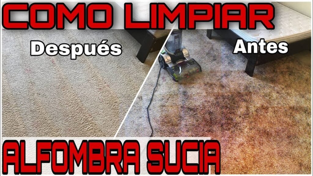 Cómo elegir el mejor producto de limpieza para alfombras