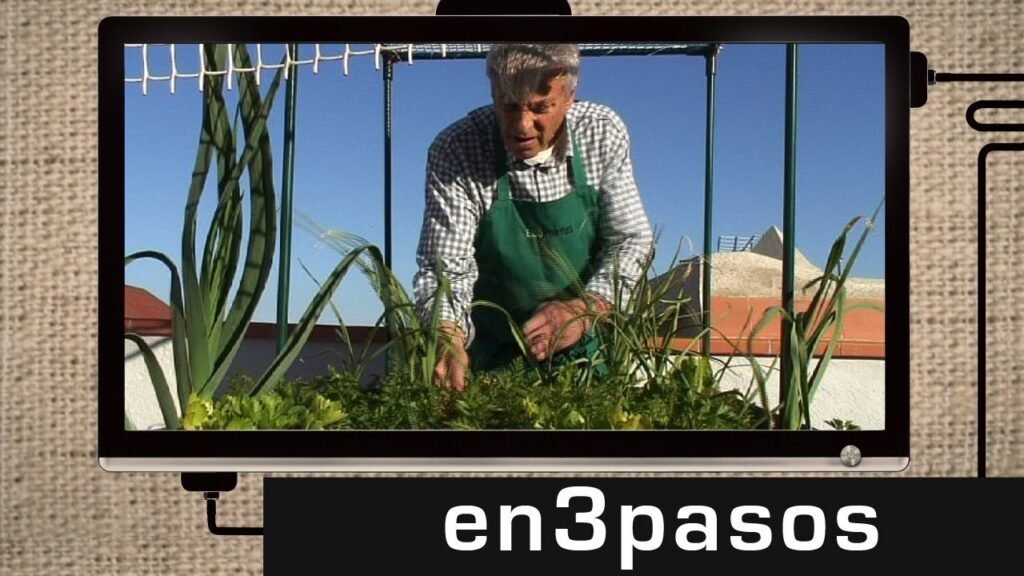 Cómo prevenir plagas en oficinas de coworking de manera efectiva