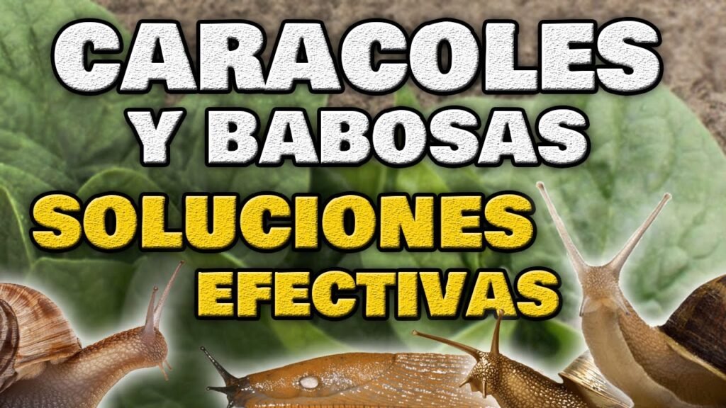 Cómo proteger baños de oficinas contra plagas sin usar químicos fuertes