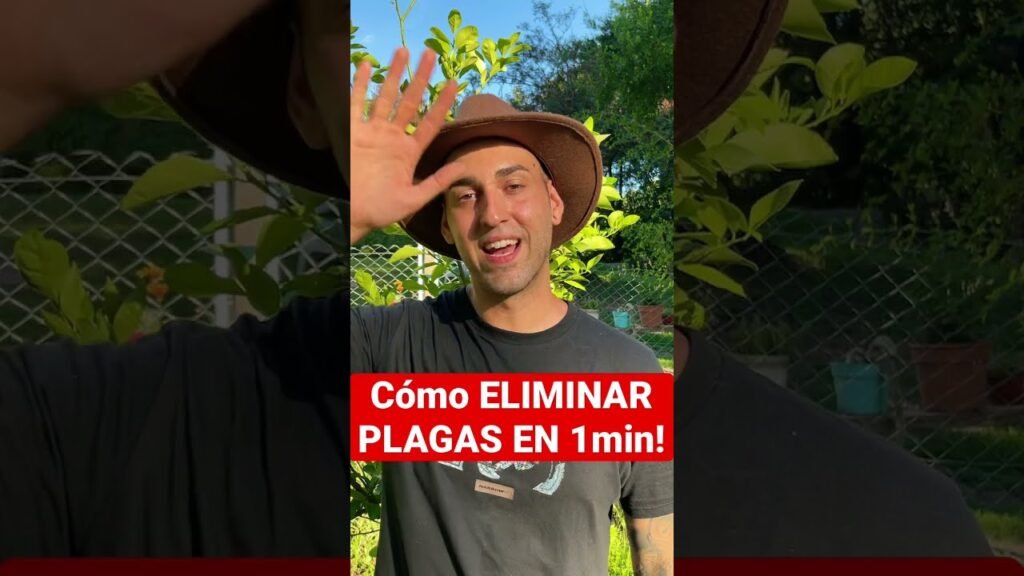 Cómo proteger call centers contra plagas sin usar químicos fuertes