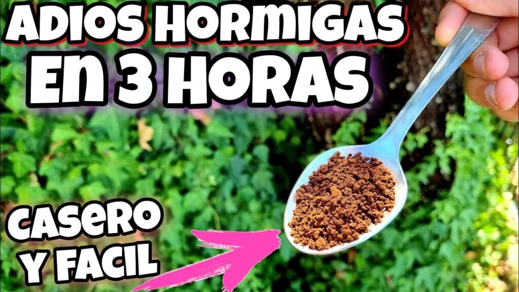 Cómo proteger pasillos de oficinas contra plagas sin usar químicos fuertes
