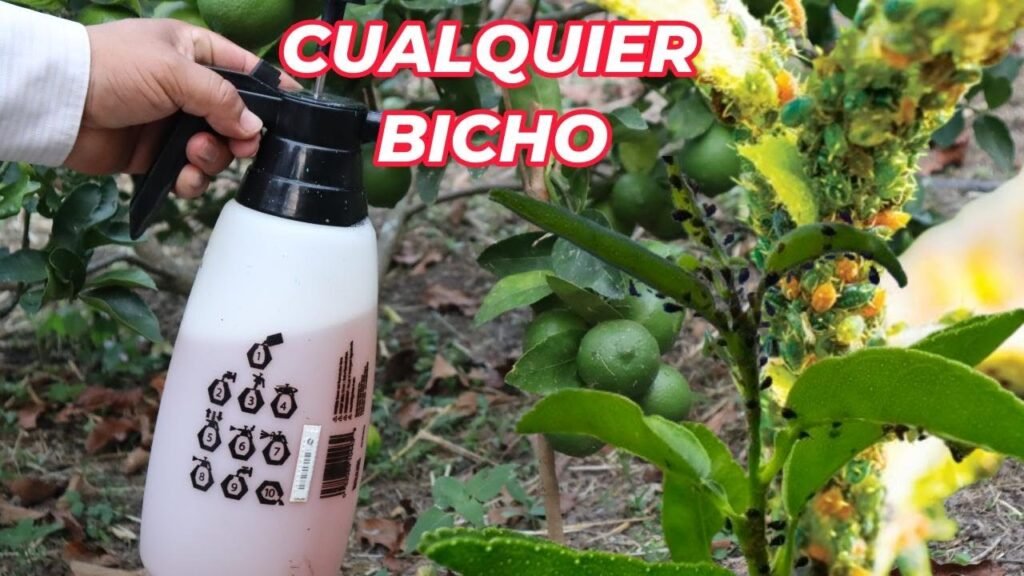 Cómo proteger vestíbulos de oficinas contra plagas sin usar químicos fuertes