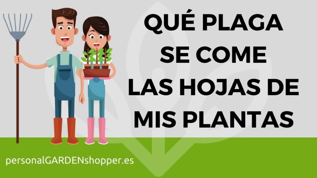 Consejos para mantener comedores corporativos libre de plagas