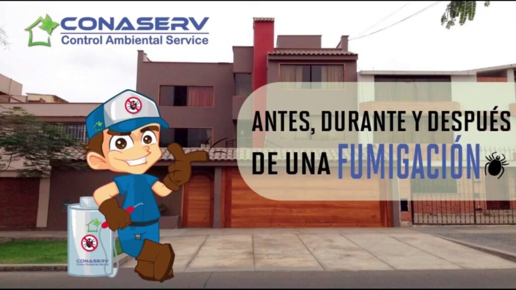 Consejos para mantener oficinas administrativas libre de plagas