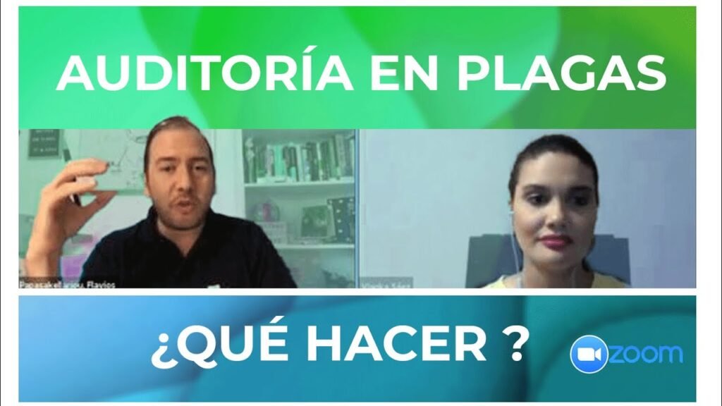 Consejos para mantener oficinas contables libre de plagas