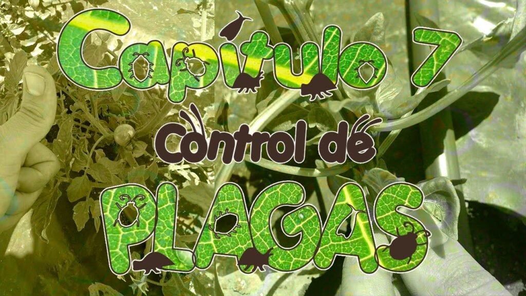 Errores comunes en la prevención de plagas en áreas comunes de oficinas