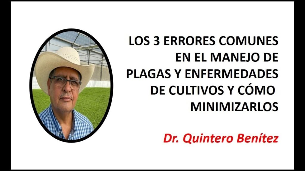 Errores comunes en la prevención de plagas en sótanos de oficinas