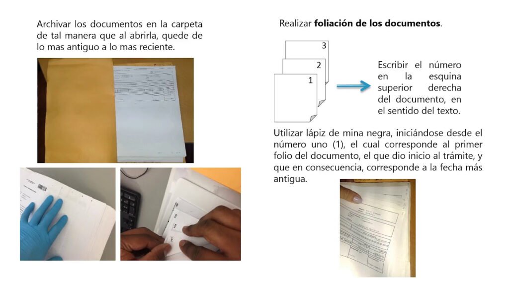 Guía práctica para prevenir plagas en archivos y depósitos de oficinas
