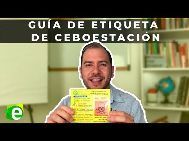 Guía práctica para prevenir plagas en estaciones de trabajo