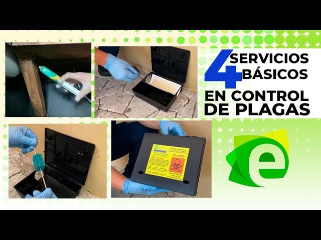 Importancia del control de plagas en archivos y depósitos de oficinas