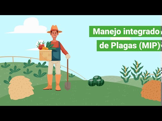 Importancia del control de plagas en estaciones de trabajo