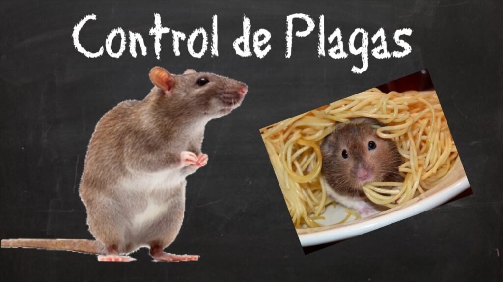 Importancia del control de plagas en oficinas de ventas