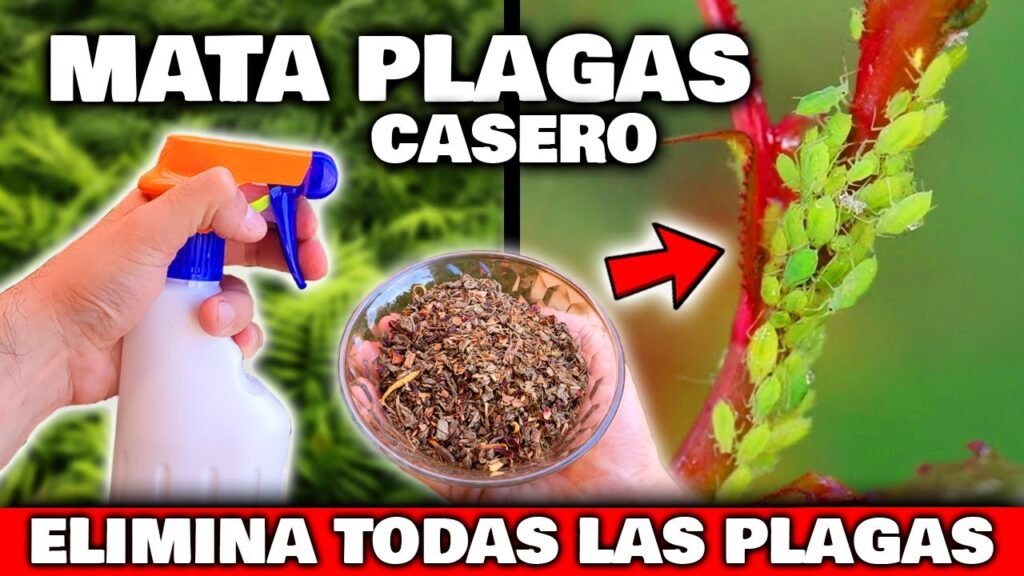 Métodos naturales para evitar plagas en estaciones de trabajo