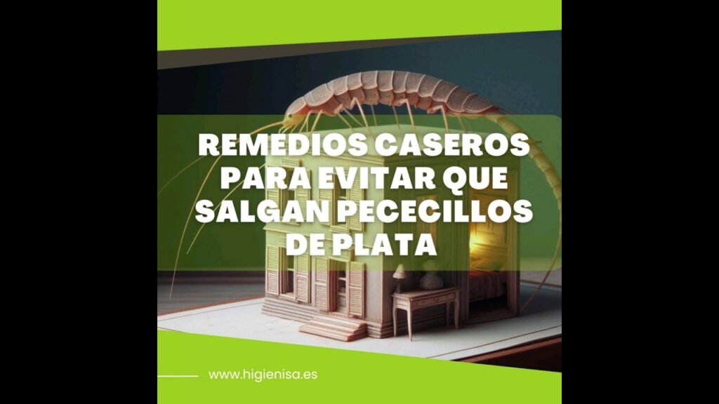 Métodos naturales para evitar plagas en sótanos de oficinas