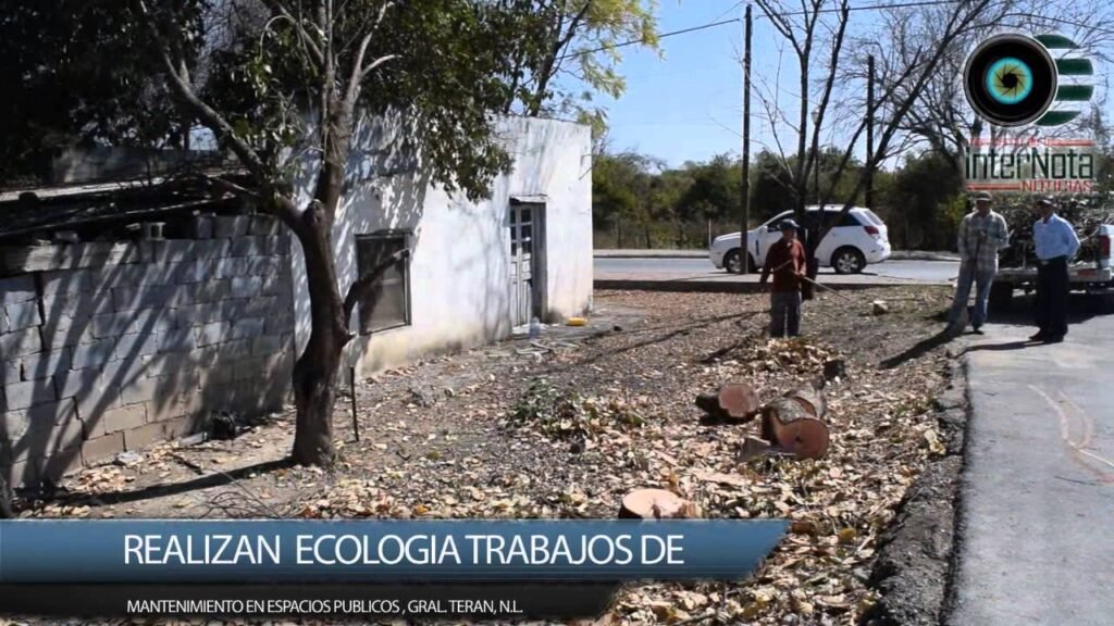 Pasos para realizar limpieza ecológica en espacios públicos