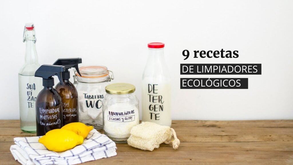 Productos de limpieza ecológicos ideales para casas