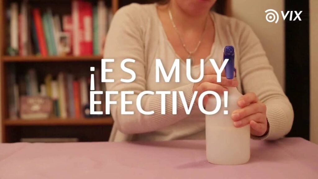 Productos de limpieza ecológicos ideales para pisos de madera