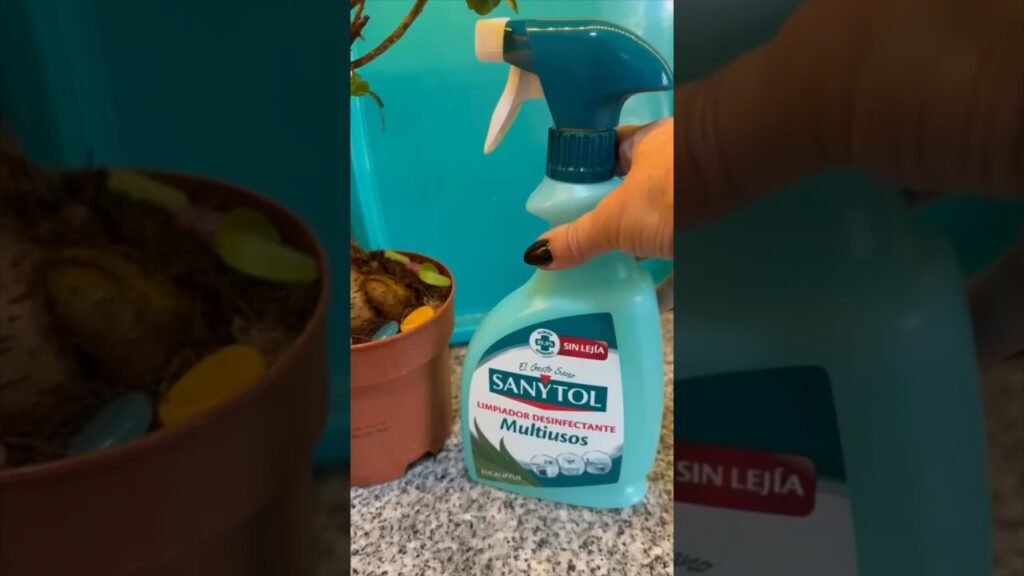 Productos de limpieza más efectivos para fachadas