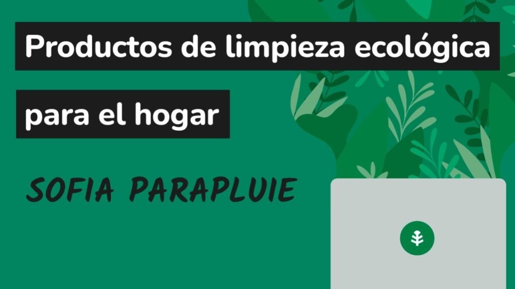 Productos ecológicos ideales para limpiar hogares