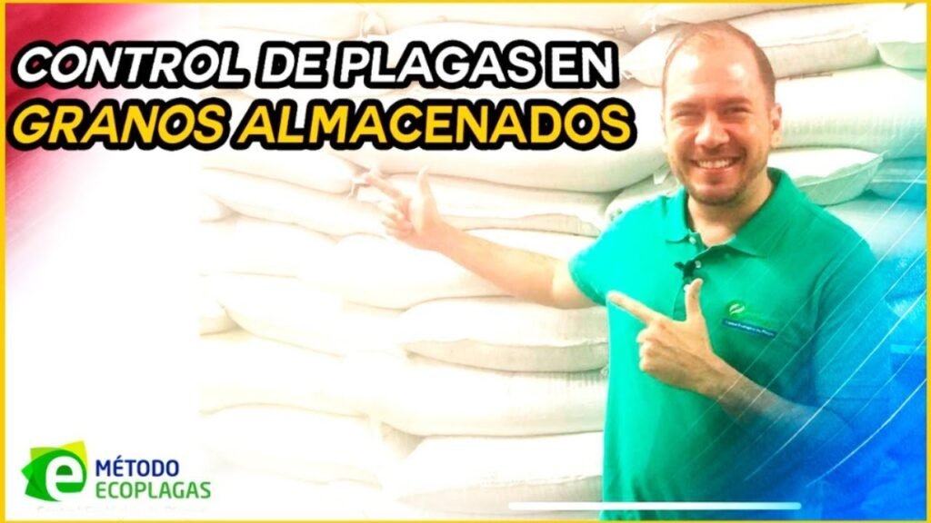 Productos recomendados para control de plagas en archivos y depósitos de oficinas