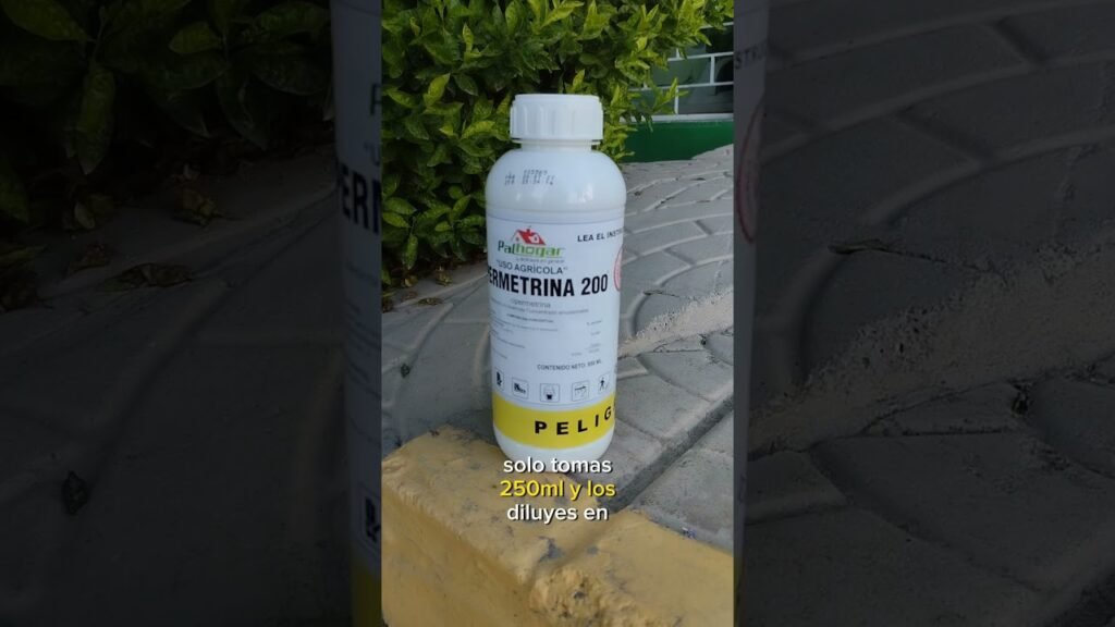 Productos recomendados para control de plagas en baños de oficinas