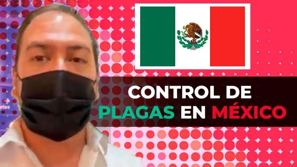 Productos recomendados para control de plagas en oficinas de ventas