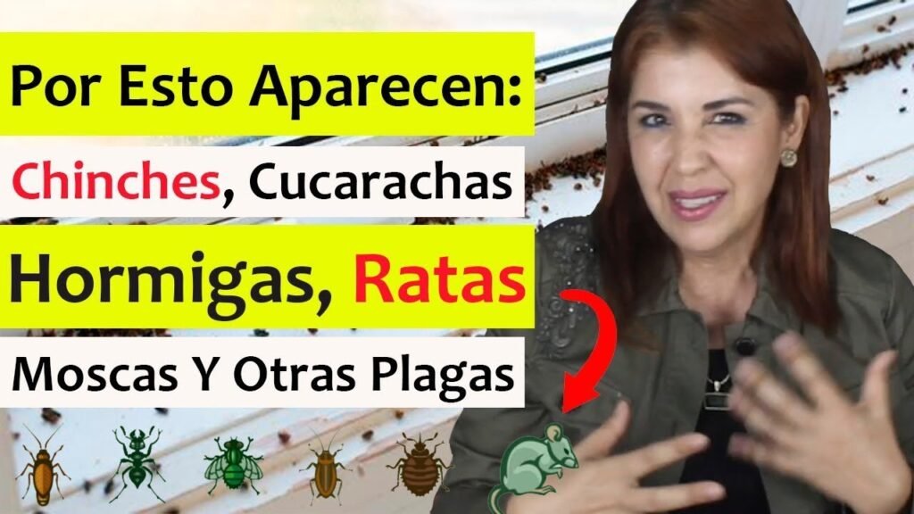 Señales de infestación de plagas en baños de oficinas y cómo actuar