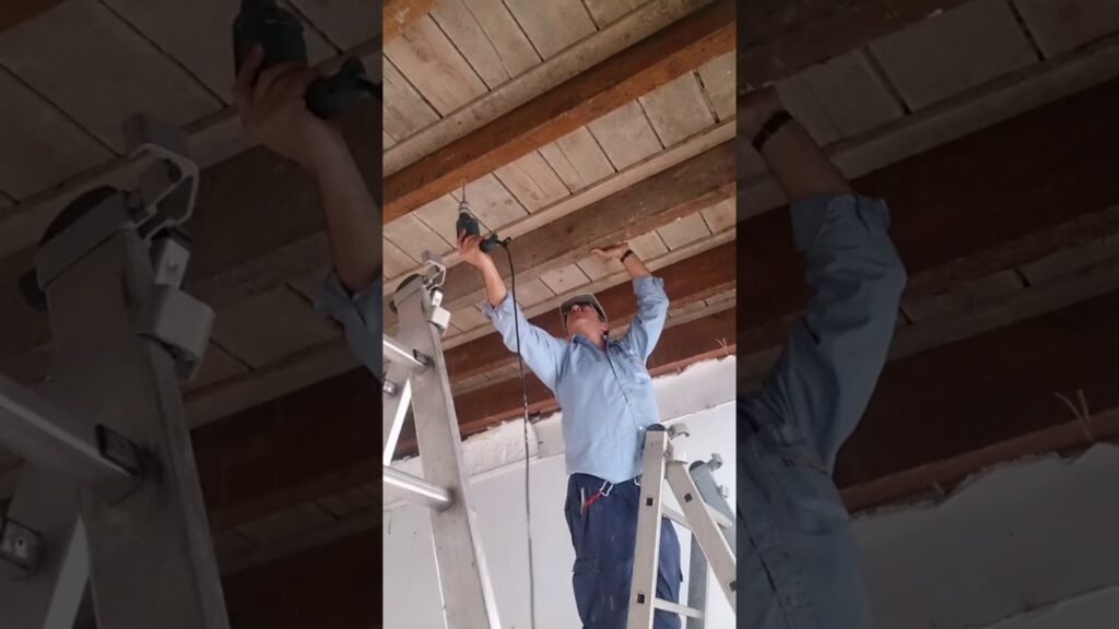 Señales de infestación de plagas en vestíbulos de oficinas y cómo actuar