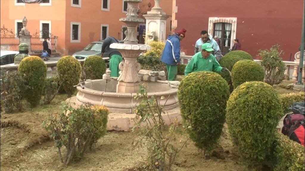 Errores que debes evitar en el mantenimiento de áreas verdes y jardines de espacios comerciales