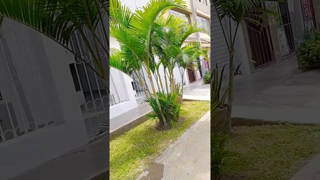 Problemas comunes en el mantenimiento de áreas verdes y jardines de espacios comerciales y cómo solucionarlos