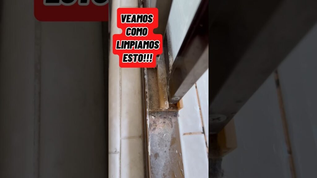 Cómo limpiar hogares de forma ecológica y efectiva