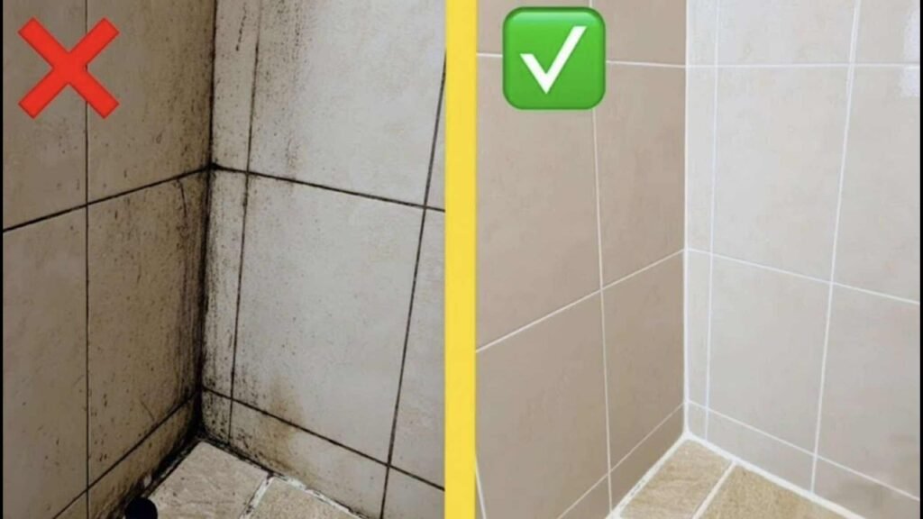 Materiales naturales recomendados para limpiar baños