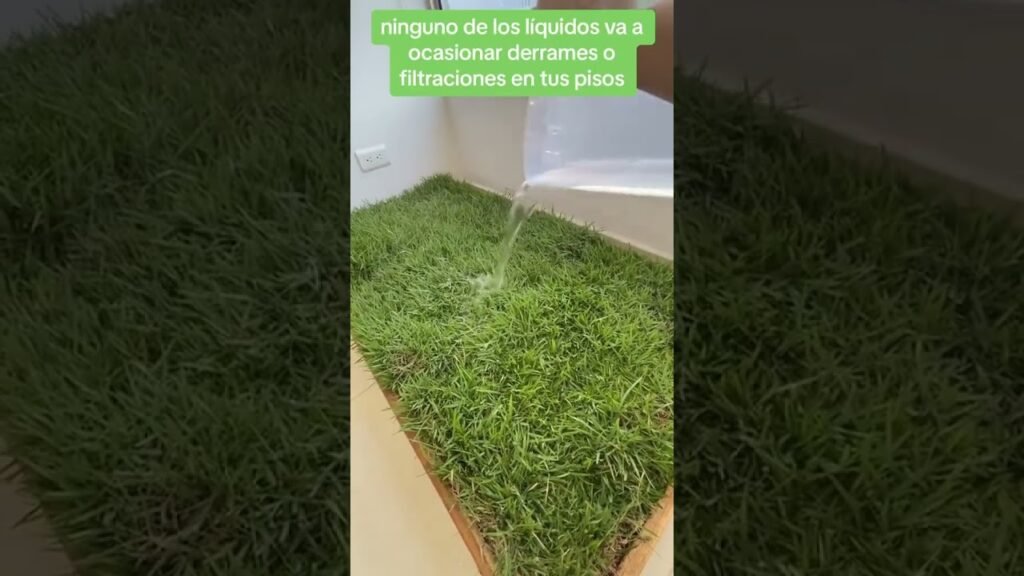 Consejos para aplicar limpieza ecológica en jardines